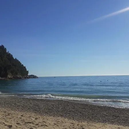 La Marineria Di Linoris
